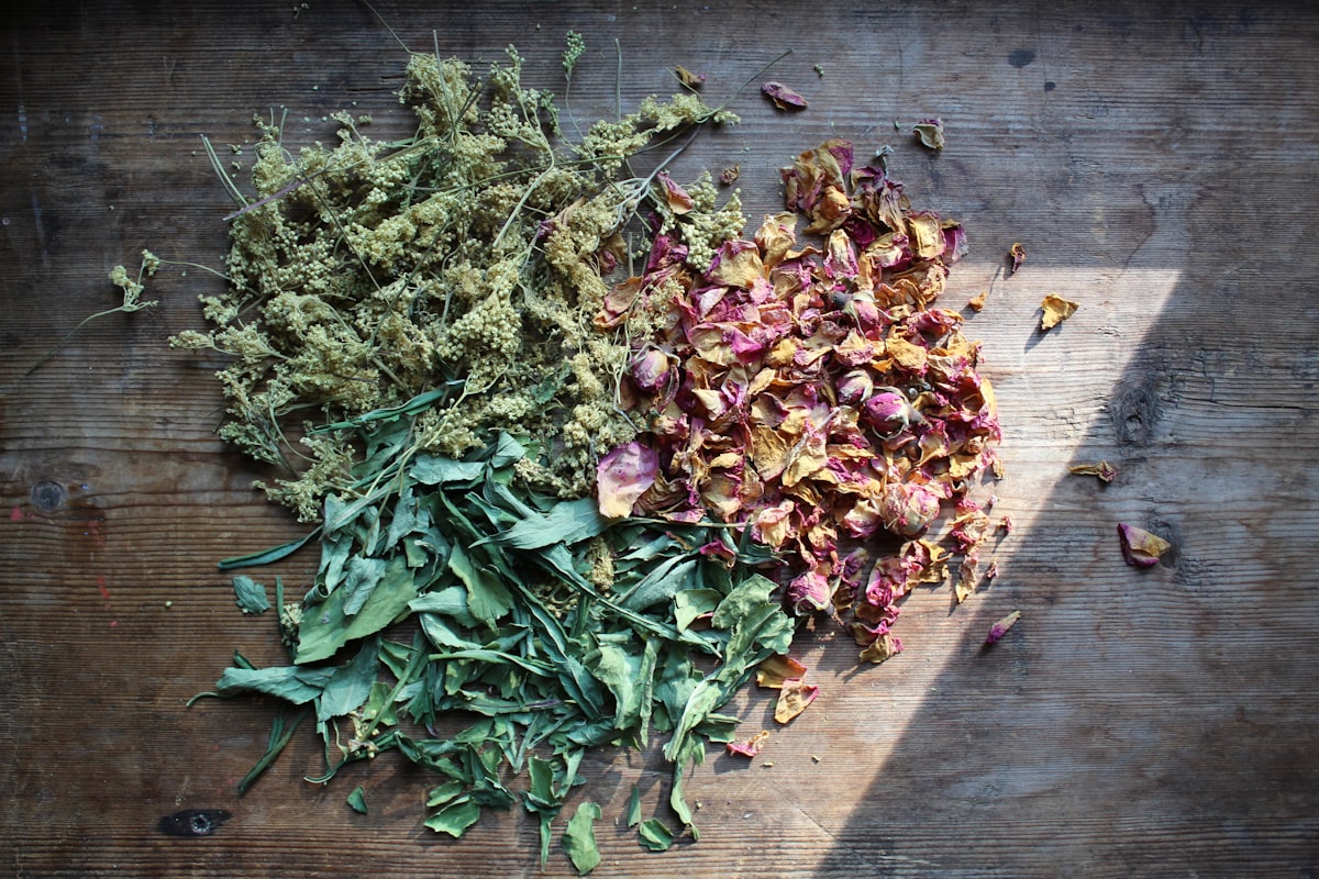Echinacea herbal formula